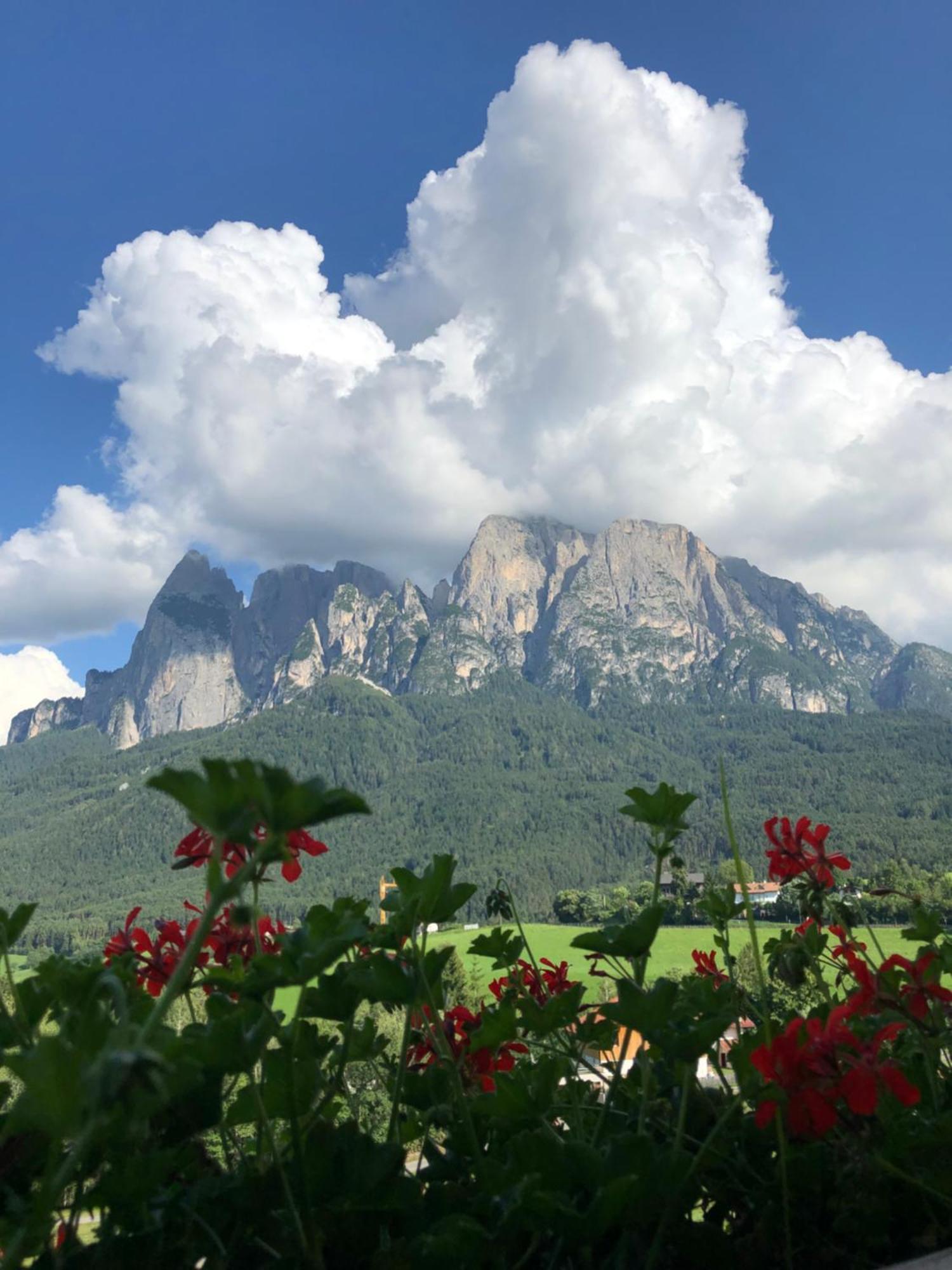 Mesnerhof My Paradise Fie allo Sciliar Ngoại thất bức ảnh